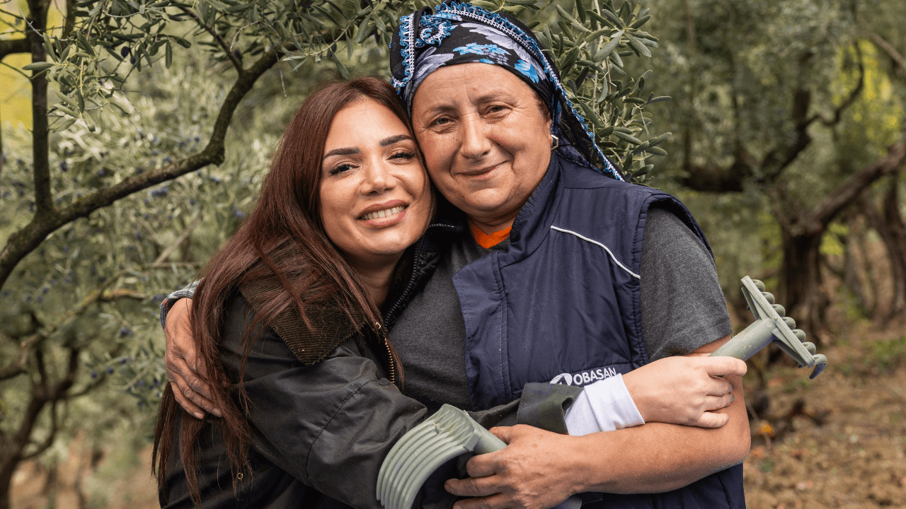 Oli Vogue Zeytin Hasatı